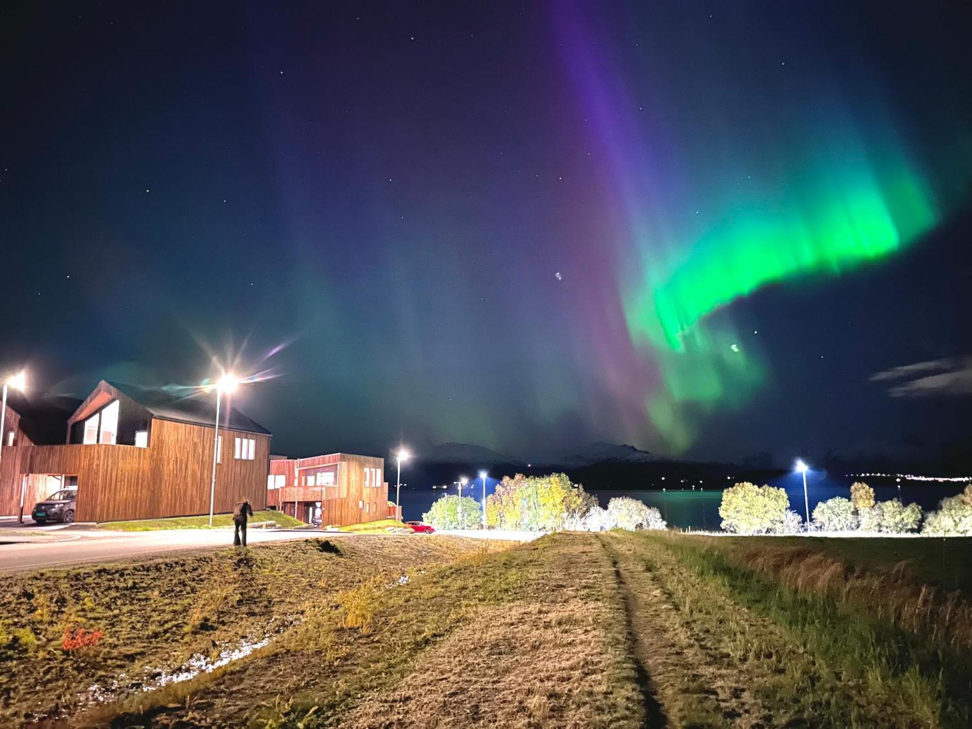 Villa Nordheim Tromsø Buitenkant foto